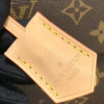 Louis Vuitton Cluny BB M44863